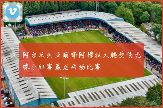 阿尔及利亚前锋阿穆拉大腿受伤无缘小组赛最后两场比赛