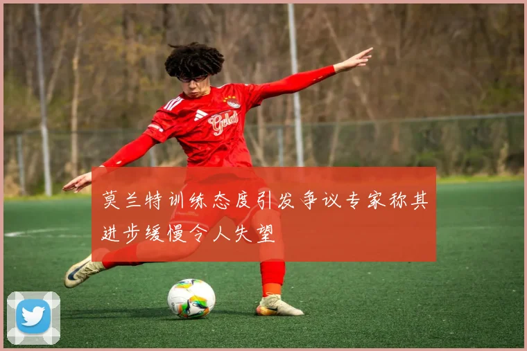 莫兰特训练态度引发争议专家称其进步缓慢令人失望