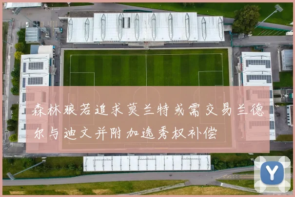森林狼若追求莫兰特或需交易兰德尔与迪文并附加选秀权补偿